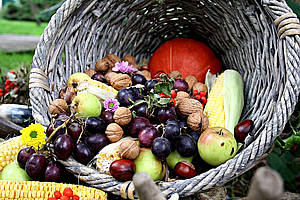 Vitamine im Herbst