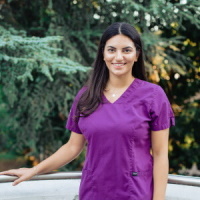 Violetta Sitkilova, Nürnberger Klinik