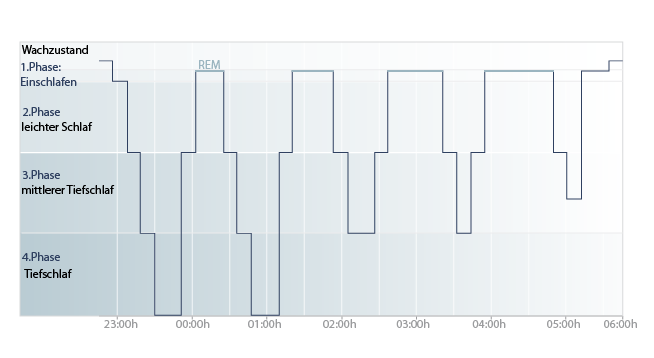 Schlafphasen - Schlafzyklus