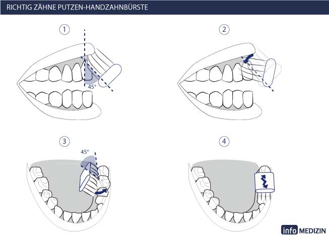 Anleitung Zähne putzen Handzahnbürste