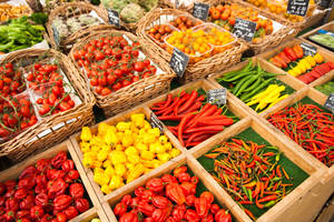 gesund Leben