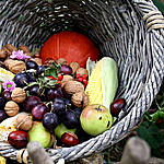 Vitamine Herbst